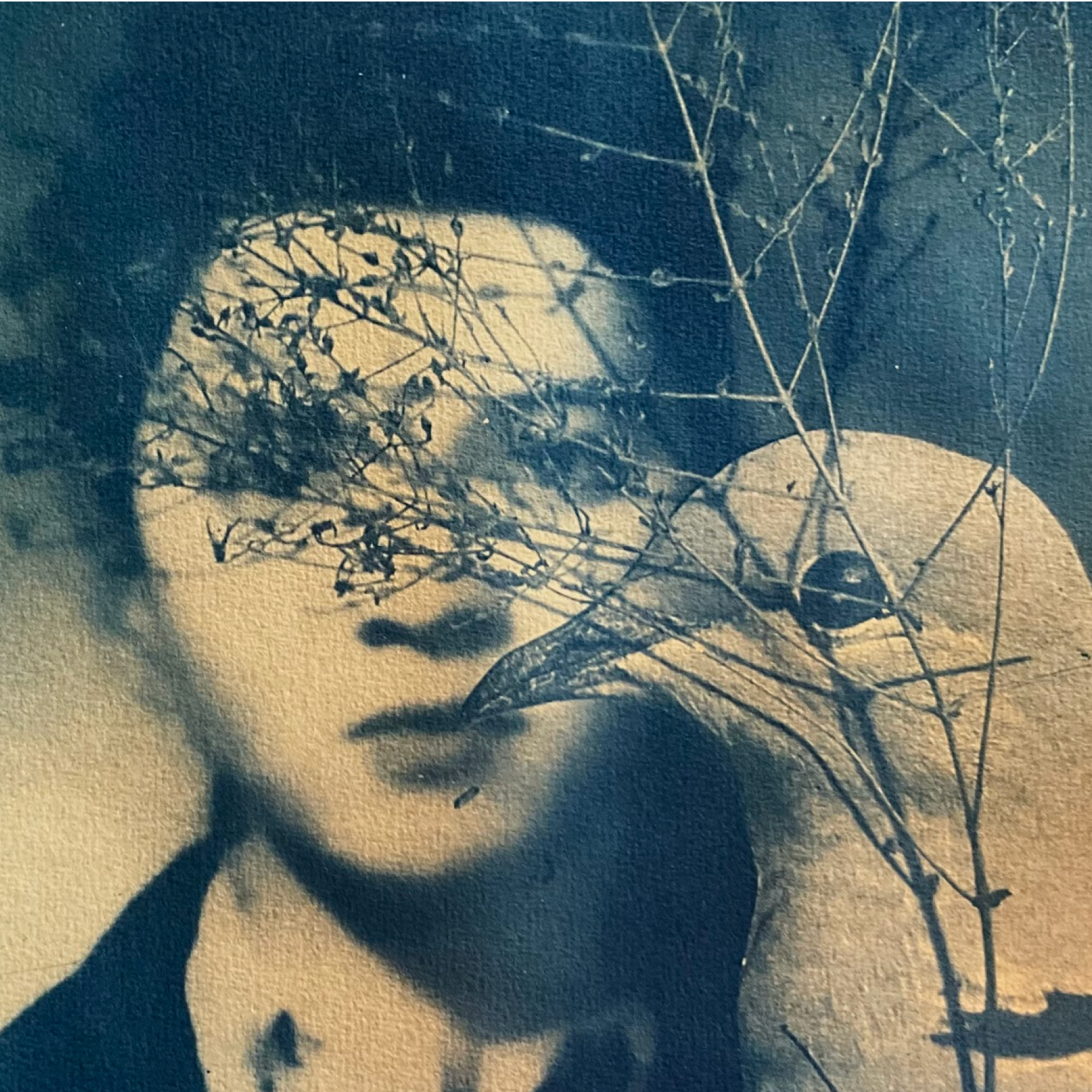 a cyanotype print of a dove, a branch and a person's obscured face