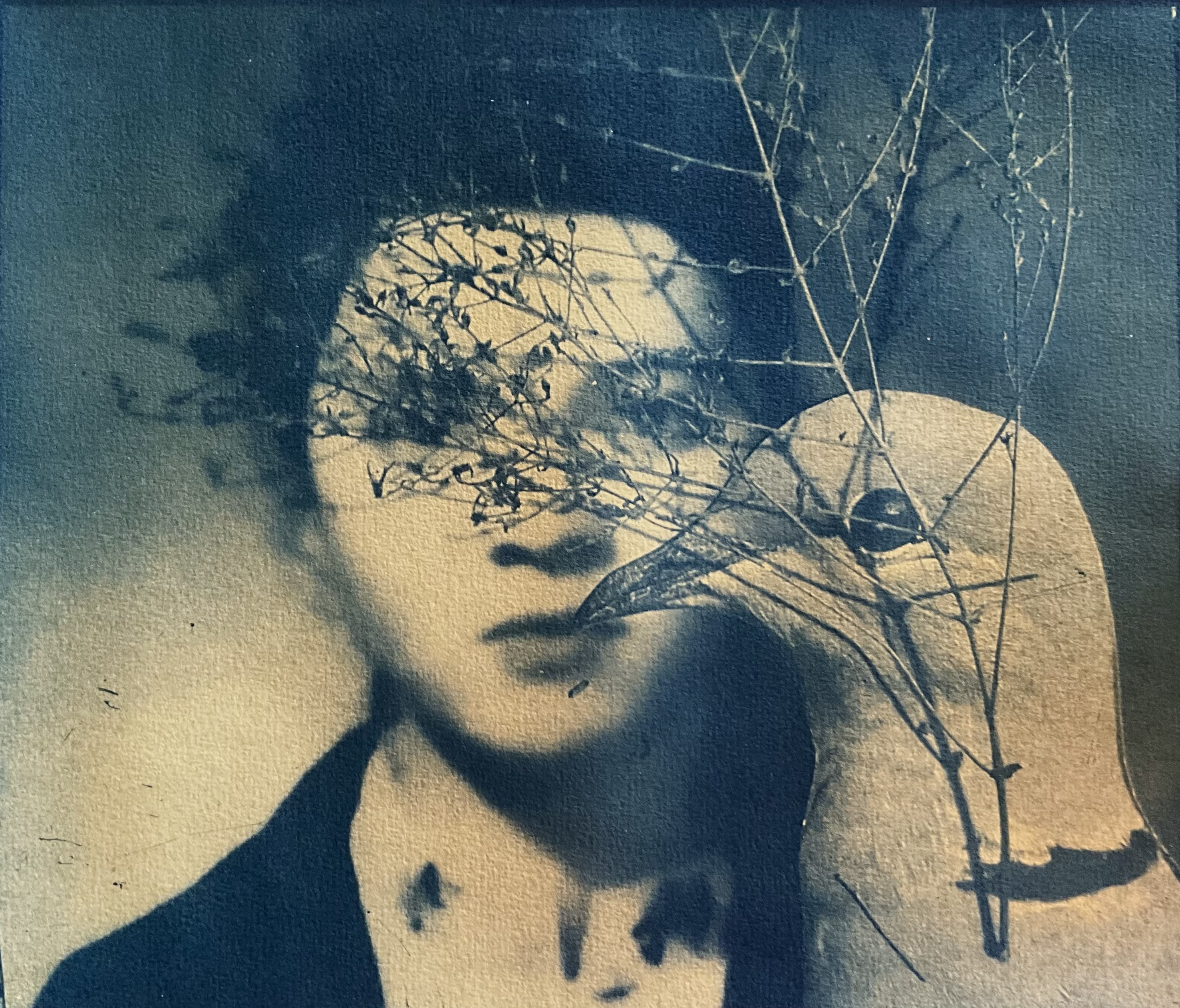 a cyanotype print of a persons face obscured, a dove, and a branch